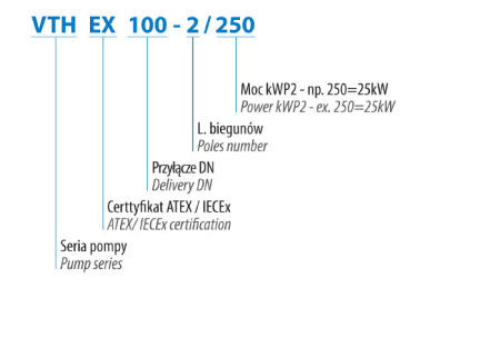 VTH-EX 100-2/250 (25 кВт, 400 В) погружной насос, сертифицированный ATEX